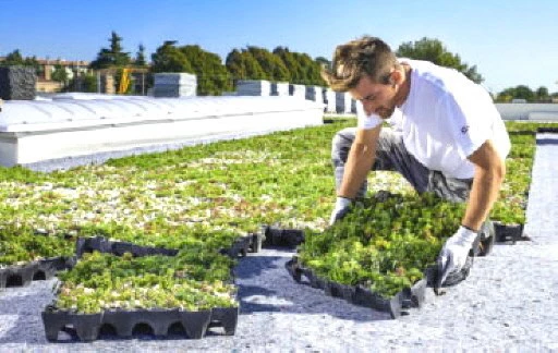 COMPLETA erlaubt, Dachgärten mit Sedum und Mesembryanthemum schnell zu realisieren.